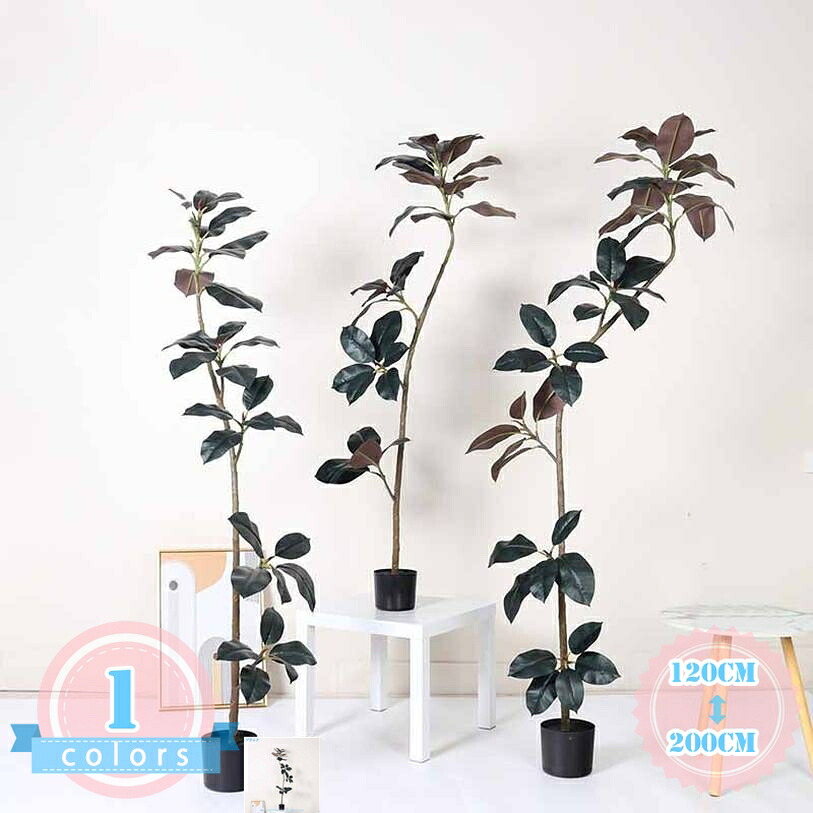 天然ゴムの木 枯れない フェイクグリーン 造花 観葉草木 大型 人工 幹をグネグネ曲げられる 鉢植え 人工観葉樹 お座敷 風水 開運 リビング 入り口・入口 室内用 分かりやすい 着飾る 常緑樹 取り計らうがない 水やり不必要 室内装飾緑であること 喜び事 ds-store 花・ガーデン・DIY-花・観葉植物-造花・人工観葉植物