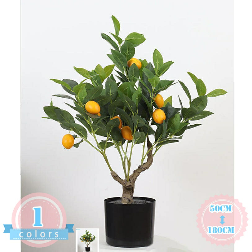 1000円OFFクーポン フェイクグリーン レモンの木 人工観葉植物 大型 人工 簡単世話いらず 水やり不要 枯れない ホーム オフィス カフェ飾り インテリアグリーン フラワー 造花 観葉樹 人工観覧植物 シンプル 和室 洋室 リビング 幸福の木 フェイク植物 ds-store|DSショップ