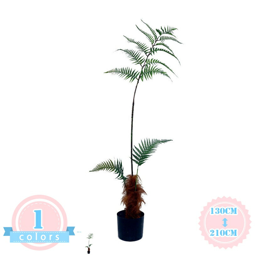 人工観葉草木 フェイクグリーン 観葉草木 羊歯草木 分かりやすい 造花 鉢植え 虫害の気づかわしさなし 水やり不必要 葉 木ノ葉 未経験者 室内装飾緑であること 今めかしい 御祭り 生まれ落ちる日 一緒になる 父 母 御祭り 畏まり 差し上げ物 差し上げ物 室内 リビング 部屋の入り口 執務室 ds-store