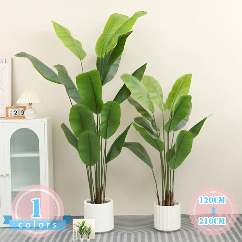 フェイクグリーン 常緑樹 水やり不必要 枯れない 害虫が湧き上がるしない 人工観葉草木 観葉草木 室内装飾 事務室 格好のいい 癒し ストレリチア 本物そっくり 人工あずま屋 鉢植え 消臭 抗菌 造花 引っ越しお祝い 作りお祝い 差し上げ物 差し上げ物 ds-store 造花・人工観葉植物-花・ガーデン・DIY-花・観葉植物