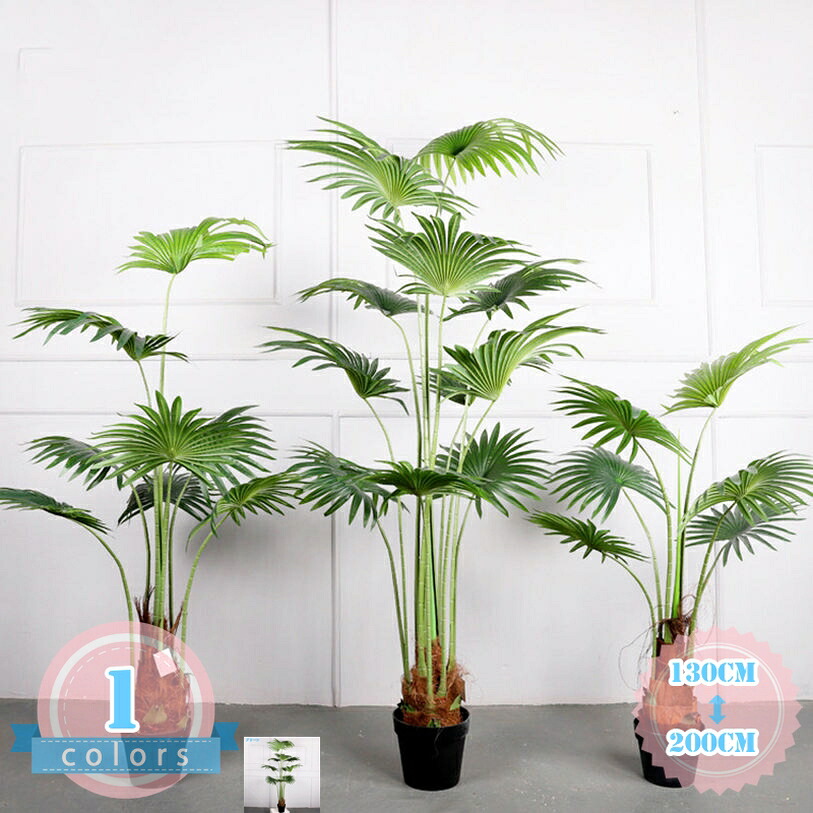 1000円OFFクーポン券 フェイクグリーン 消臭 抗菌 人工観葉草木 室内装飾緑であること 椰子科の木 今めかしい 本当の 室内 営造祝賀会 開店祝賀会 造花 心うれしいの木 水やり不必要 開運 風水 癒しの緑であること 飾りつけ 人工草木 褒めたたえる草木 フェイクツリー ds-store