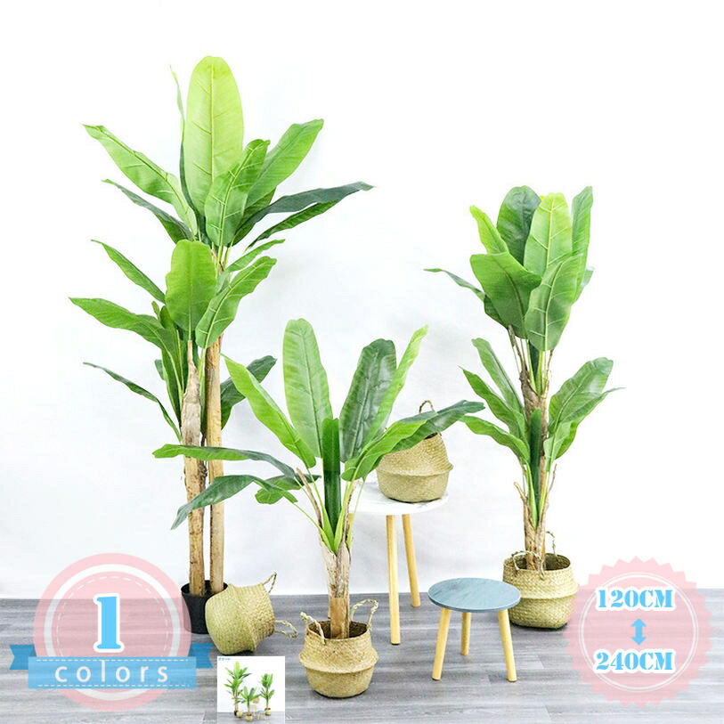 売れ筋 あす楽対応 MOL186JLM7G [MOL186JLM7G]
