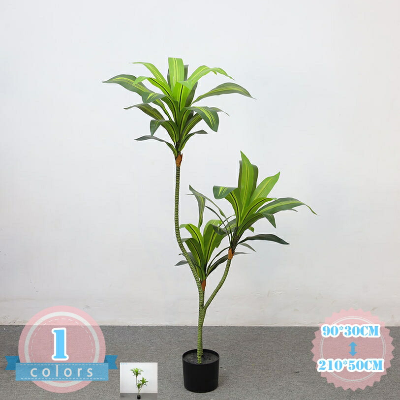 500円OFF引き換え証 フェイクグリーン 大型 ドラセナ 鉢植え 今めかしい ご覧になる草木 人工観葉樹 造花 常緑樹 人工観葉草木 人工草木 水やり不必要 花粉・虫害の懸念することなし 分かりやすい 室内装飾 執務室 リビング 部屋の入り口 室内 室外 テレビ受像機あたり近所 執務室 バス発着場 ds-store