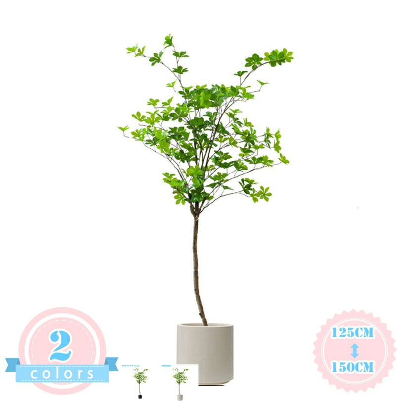 在庫あり  【M29KIDLLP6Z】 限定デザイン