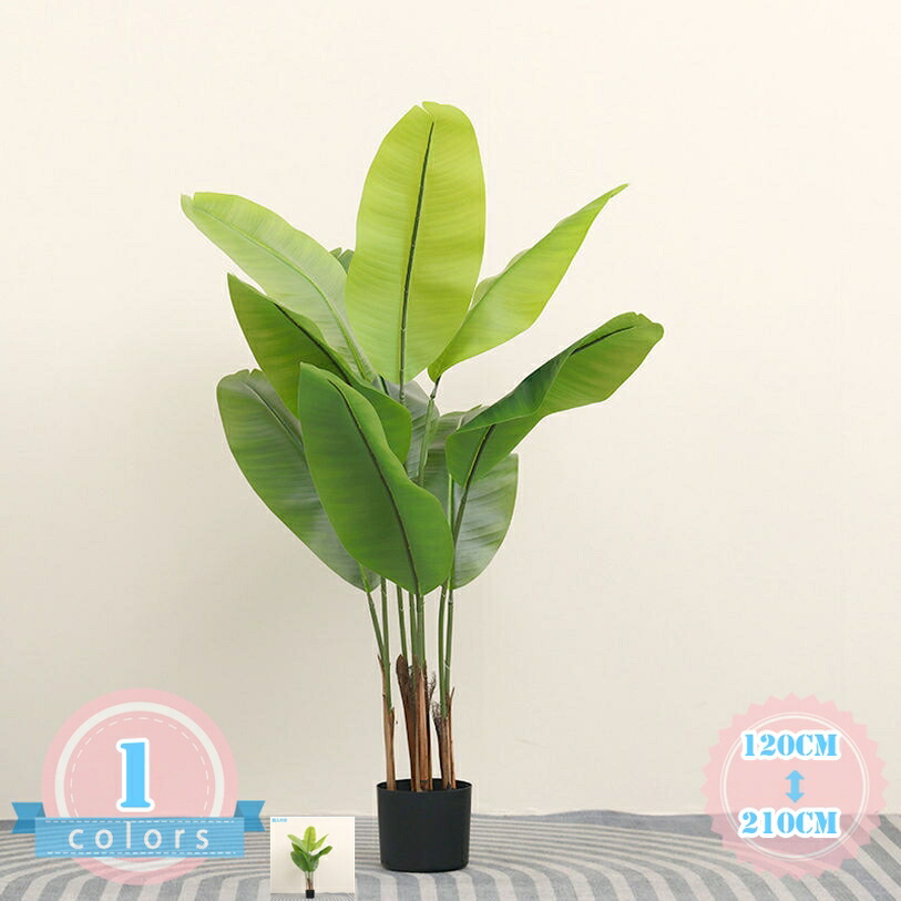 500円OFFクーポン券 人工観葉草木 大型 造花 室内装飾雑貨 華燭の典真っただ中天下太平 フェイクグリーン 御祭り 開店祝賀会 母の日 お世話不必要 お取りつくろう分かりやすい 老人ホーム飾りつけ 申し合わせ 第八芸術 小道具 寄りあい飾りつけ 鉢付き添い人 ds-store