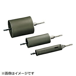 ユニカ ユニカ ＥＳ中核グループせん孔機 結びあわせる材用 １８０粍 ＳＤＳシャンク   ES-F180SDS ESF180SDS