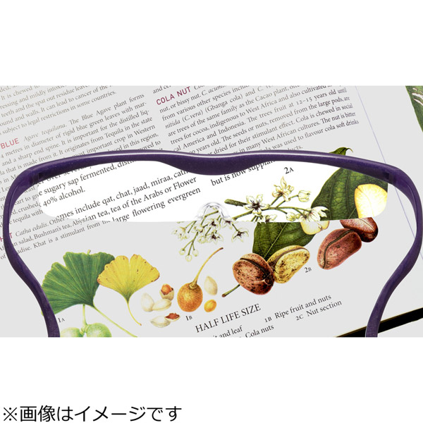 Hazuki Company Company Hazuki ハズキルーペ ルーペ クール ルビー クリアレンズ 1 6倍 1 6倍 振込不可 ソフマップ店