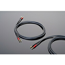 トランスペアレンツ スピーカーケーブル　3m HWSC10 HWSC10