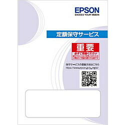 EPSON(エプソン) エプソンサービスパック 出張保守購入同時1年 HDS320001 HDS320001