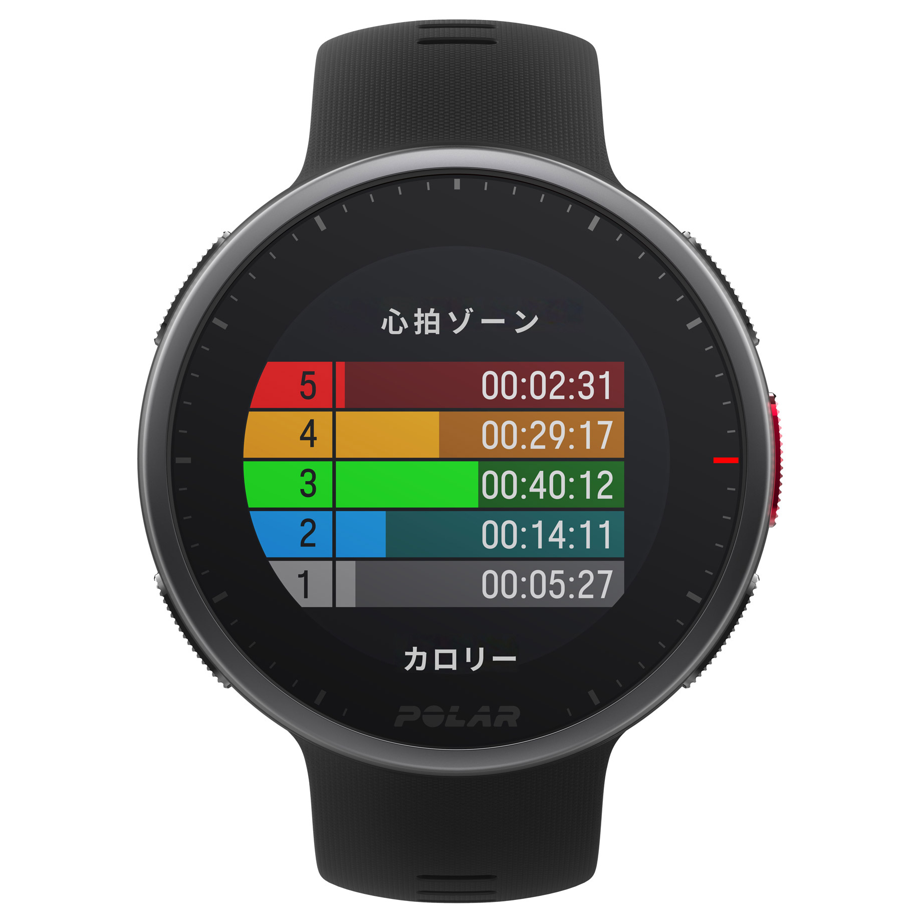 在庫あり】 POLAR ポラール 90082710 GPSマルチスポーツウォッチ ...