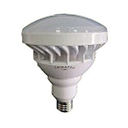鯛勝産業 タイカツ LED投光器 替ランプ 口金E26 TK-LED200LP|ソフマップ店