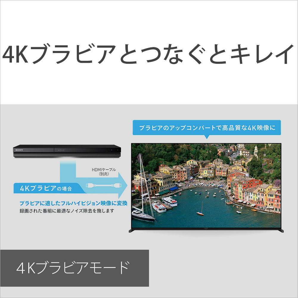 偉大な 21 05 01発売予定 Sony ソニー ブルーレイレコーダー z Zw1800 1tb 1番組録画 zzw1800 高い品質 Tradrecipe Com