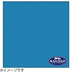 サベージ 周囲の状況紙  2.72×11m／No.83 青緑色   RL83-12 RL8312