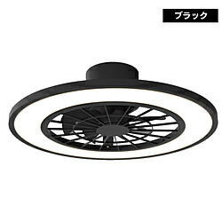 ヒロコーポレーション シーリングファンライト HLCF-550BK ［10畳 /リモコン付属］ HLCF-550BK