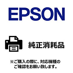 EPSON(エプソン) 〔ラベルプリンター用紙〕連続写真用紙 シールタイプ [600枚] GP11LBL GP11LBL