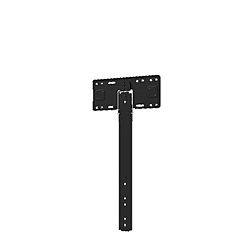REGZA（レグザ） FPT-WA20 レグザ純然たる 薄型飾りつけ金具(116-65V用)【相応う機種要突きとめる】 FPTWA20