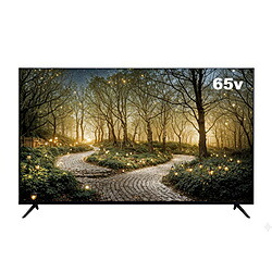 アペックス 液晶モニター ブラック AP65DPXD ［65型 /4K(3840&times;2160） /ワイド /60Hz］ AP65DPXD｜ソフマップ店