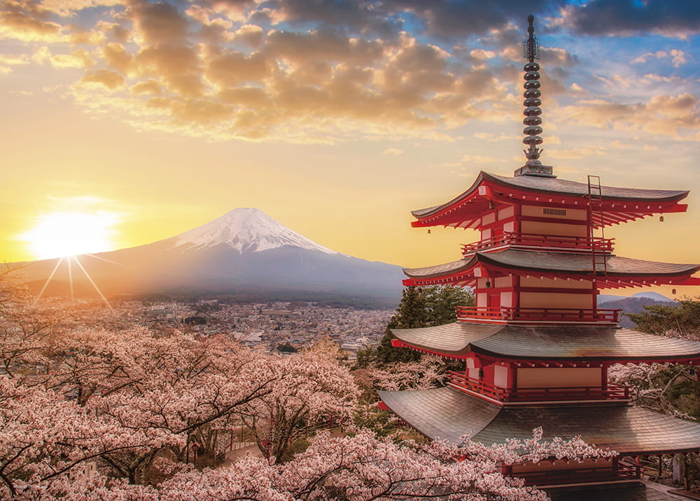 楽天市場 春暁の富士山と桜 山梨 ジグソーパズル 日本の風景 500ピース 38 53cm 05 1023 やのまん Dtimes Store