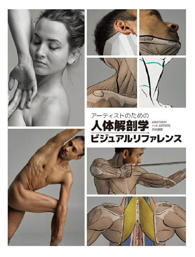 楽天市場】【マラソンp2倍】スカルプターのための美術解剖学 3