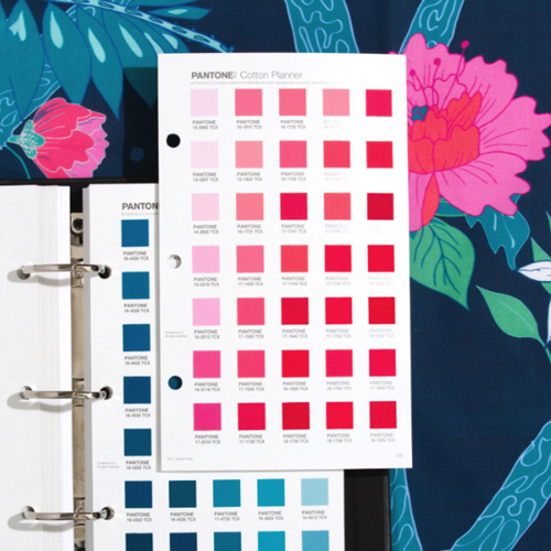 お取り寄せ品物 パントン 綿 プランナー Fhic300a Pantone Fashion Home Interiors Cotton Planner 御敵見本引物 あす簡便 カラー見本 カラー速見表 色電話番号 物差色 色見本帖 新色 色規定 短冊 Cannes Encheres Com