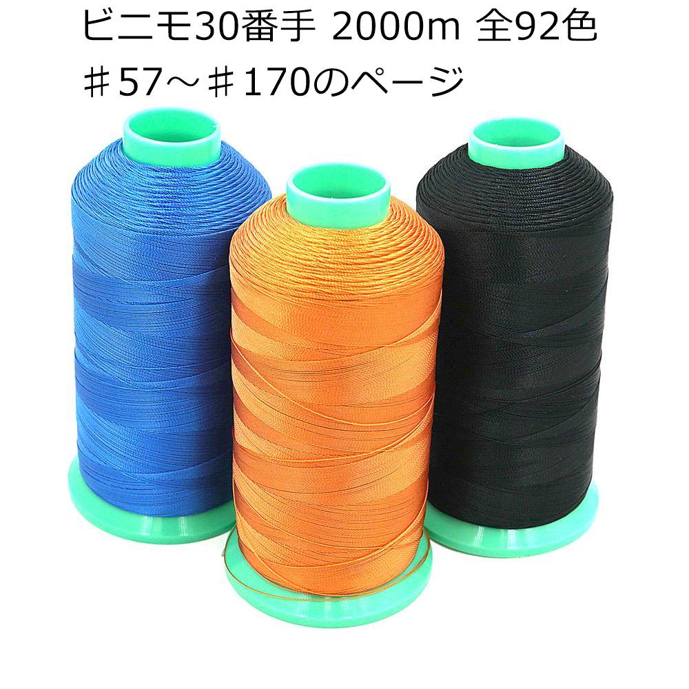 ヒスミニ 30-2.jpg