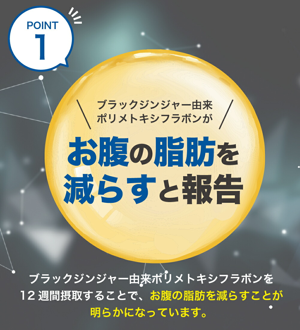 市場 2袋セット お腹の脂肪を減らす 皮下脂肪 体脂サポート ダイエットサプリ 内臓脂肪