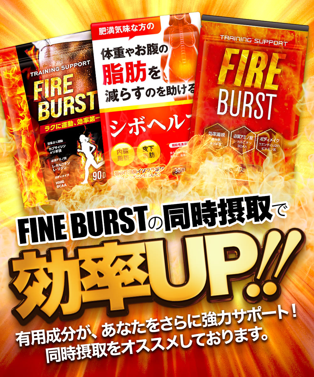 春の新作シューズ満載 FIRE BURST 90日分×3袋 L-カルニチン BCAA配合