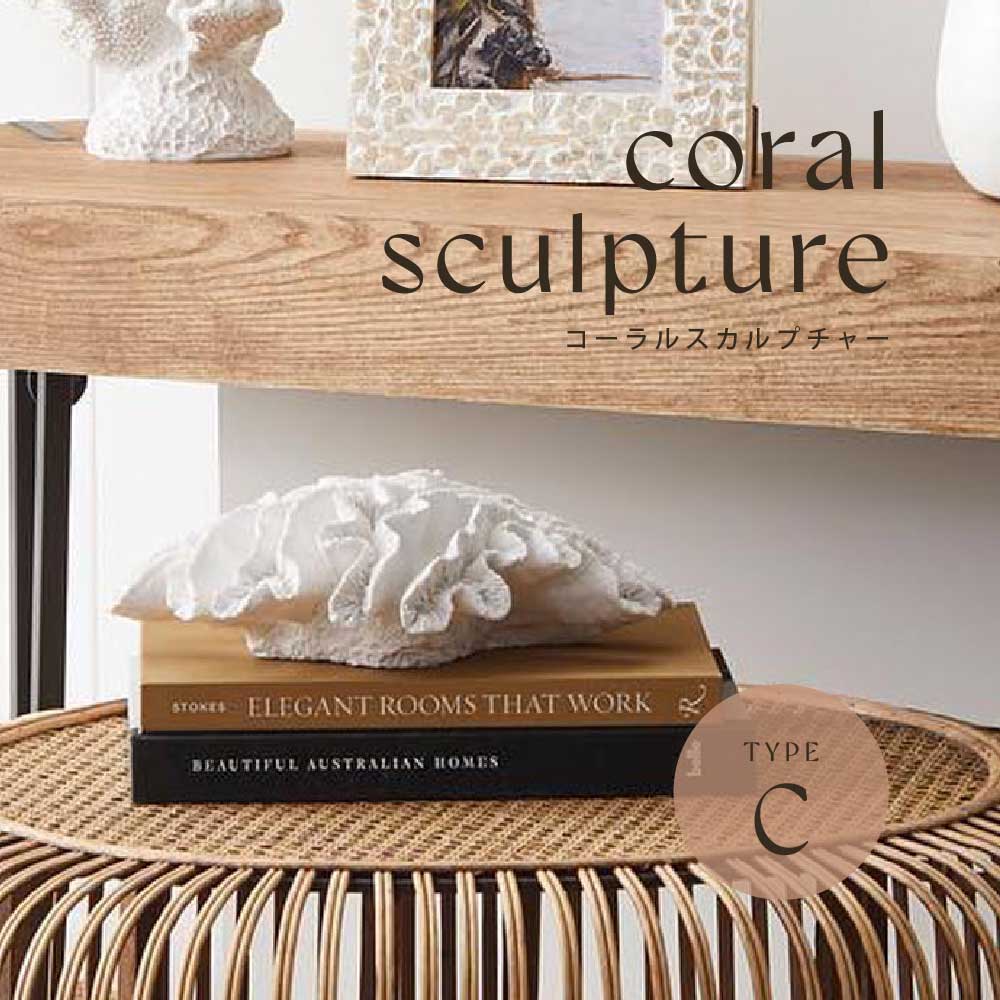 楽天市場】【限定入荷】Coast to Coast オーストラリア直輸入 サンゴ