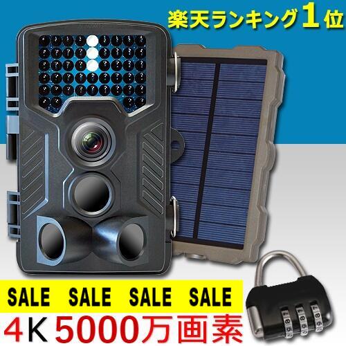 防犯写真機 無線電話 室外 日本製 ソーラー 防犯写真機 室外 独居室式 トレイル写真機 独居室式 小型 sd歌留多録画身寄り用 管する書き割り 管する付き添い人 有線 録画役立つこと付き添い人 人感検出器 流動物さがし当てる 監督すること写真機 3600万絵素 雨合羽 防塵 高正確性検出器 盛りだくさん高品位テレビ 固定ディスク SL948