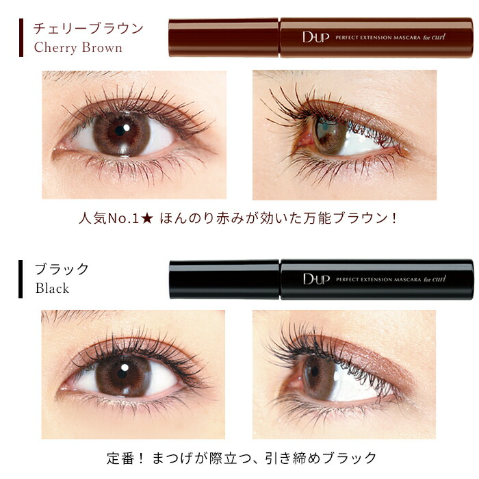 【DUP公式】限定わずか！マスカラ／DUP ディーアップ パーフェクトエクステンション マスカラ for カール プラムブラック／モカ