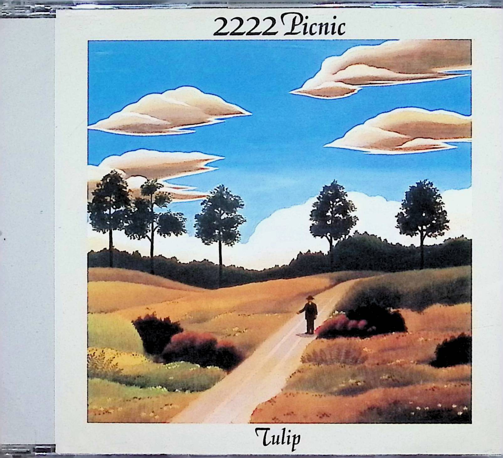 【中古】 (CD) 2222年ピクニック（スリムケース） / チューリップ (TULIP) （送料無料）｜ディスクプラス