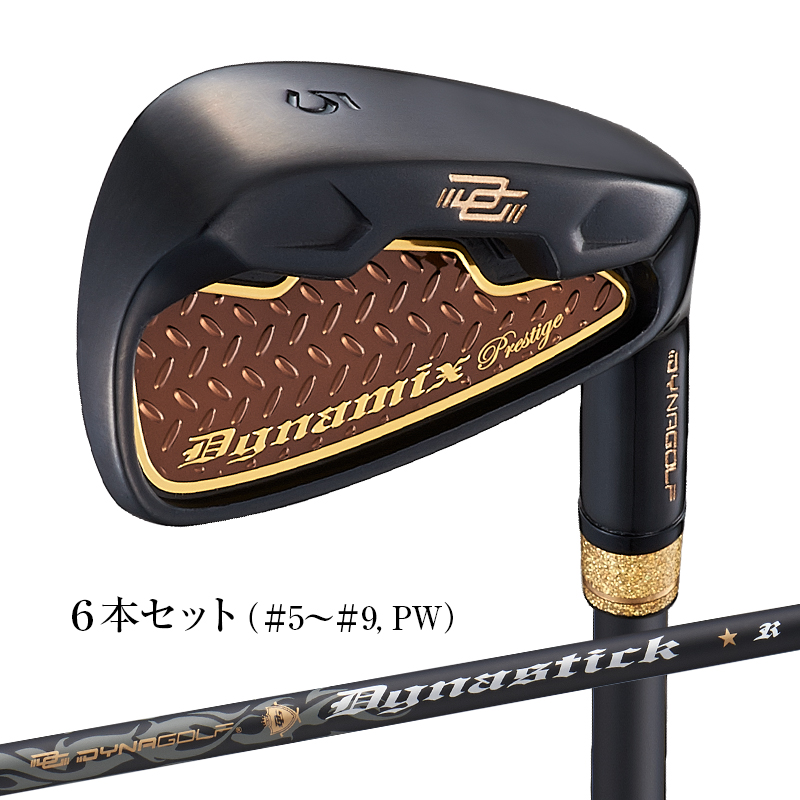 【楽天市場】ゴルフ クラブ アイアンセット 8本セット ダイナミクス 