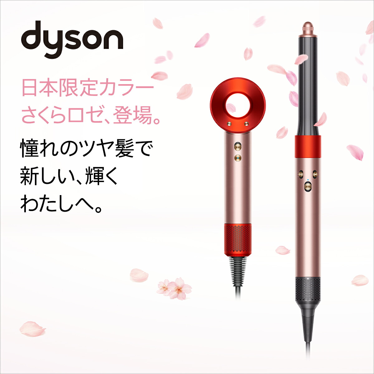 数量限定 プレゼント付】【3/15 新発売】【お得なシンプルモデル 