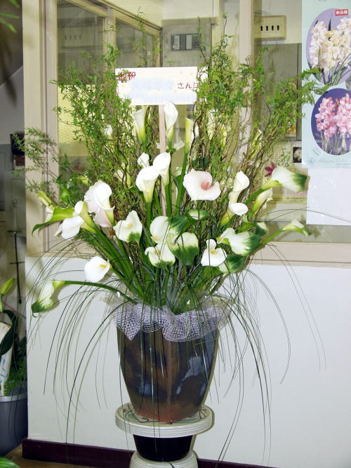 つぼ花