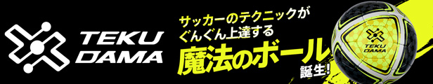 楽天市場】メトリクスフォーム（40cm x 20cm）袋入り ボディメトリクスジャパン トレーニングマット【プラスアルファトレーニング動画付き】 :  イースリーショップ