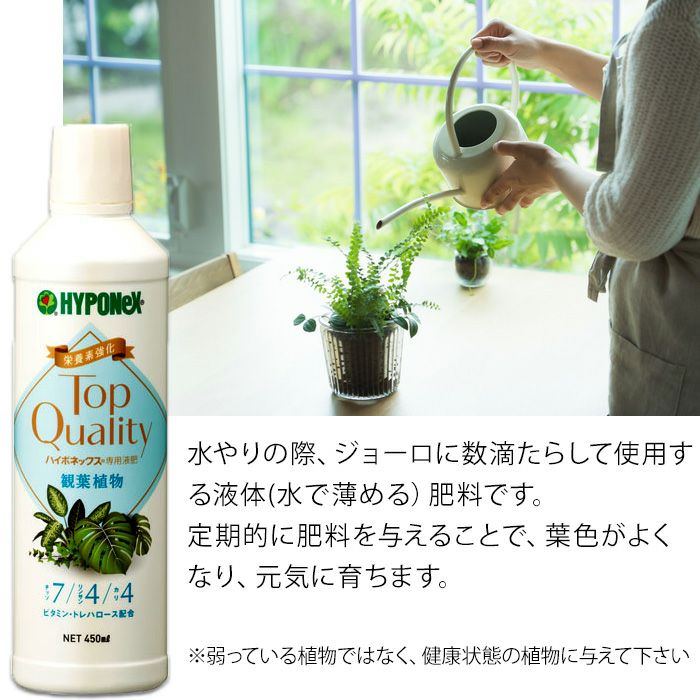 楽天市場 観葉植物の肥料 水やりの際 ジョーロに入れる液体肥料 ｅ 花屋さん