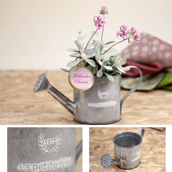 おしゃれな植木鉢 ジョーロ型 春夏新作 ブリキ鉢 3号苗用 3392a