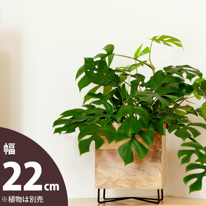 スクェア様式 木製器補償土台 圏22 Utb Ac Rw