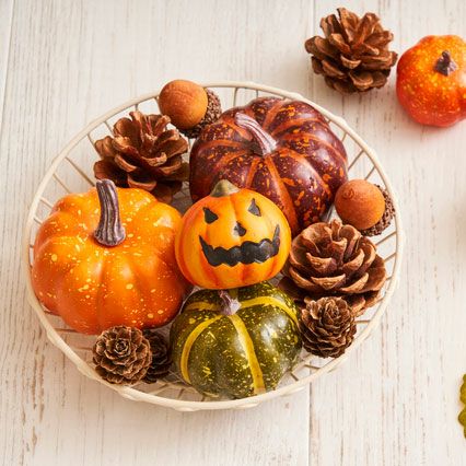 ハロウィン　ソラナムパンプキンオーナメント ソラナムパンプキン3.5号ポット の通販 | 園芸ネット