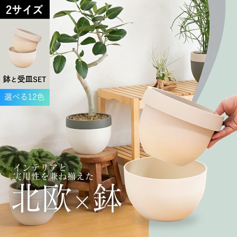 陶器鉢8個セット　新品 楽天市場】信楽焼 大鉢 盛鉢 和食器 1000cc（満水時） おしゃれ 大容量
