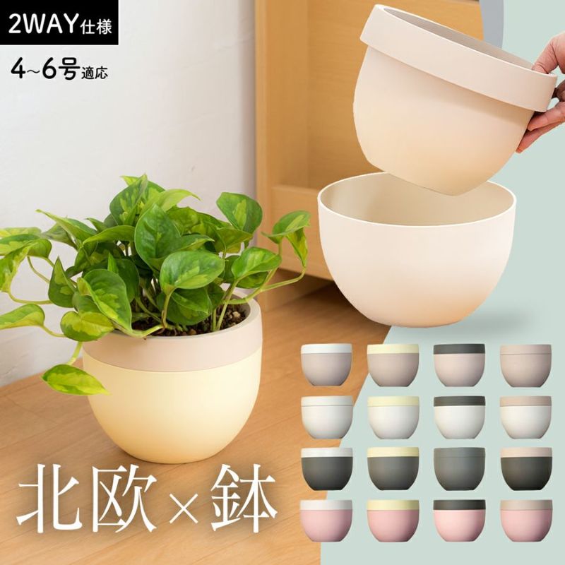アイリスオーヤマ 生ゴミ発酵促進剤 2kg NH-2