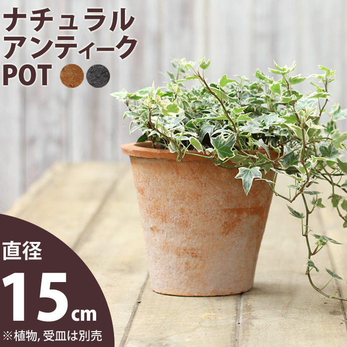 【おしゃれな素焼き】モスポット植木鉢（径15cm/高さ14cm)