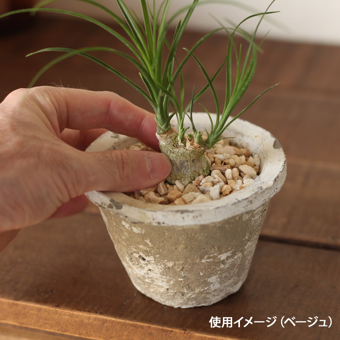 楽天市場 ナチュラル化粧石 小袋350ｇ ｅ 花屋さん