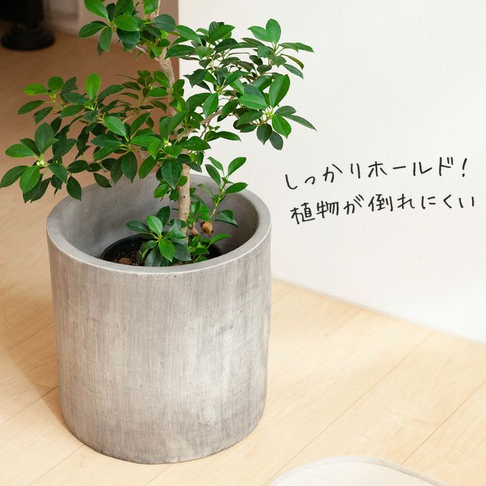 同梱不可 ｅ 花屋さん7 9号サイズの植物向け 大型 どしっ 重量感あるシリンダー植木鉢 7 9号植物向け Dj35 おしゃれ 室内 大型 植木鉢 植木鉢 室内 売れ筋 植木鉢 Centuria Ec