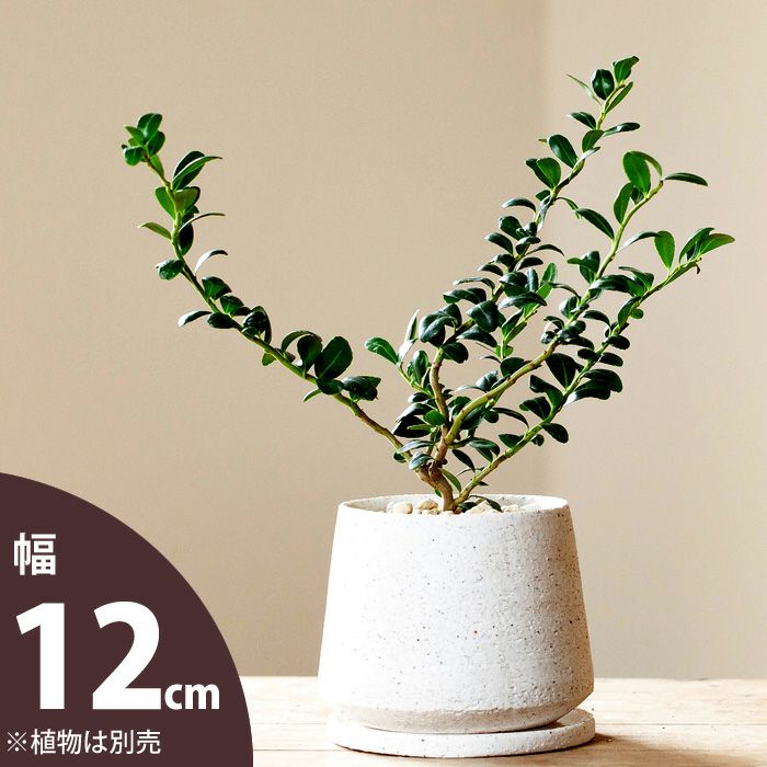 楽天市場】【おしゃれな植木鉢】ザラっとした質感。渋カワ陶器鉢