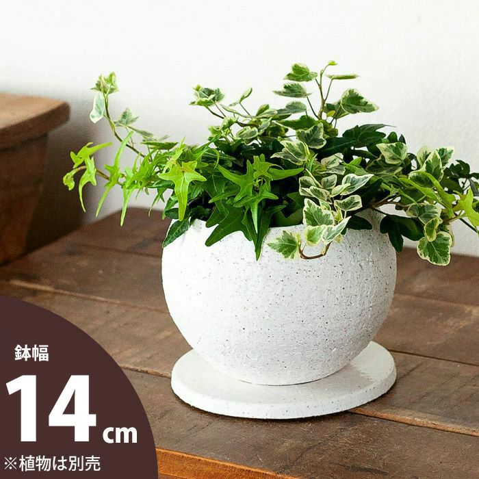 楽天市場】【おしゃれな植木鉢】ザラっとした質感。渋カワ陶器鉢