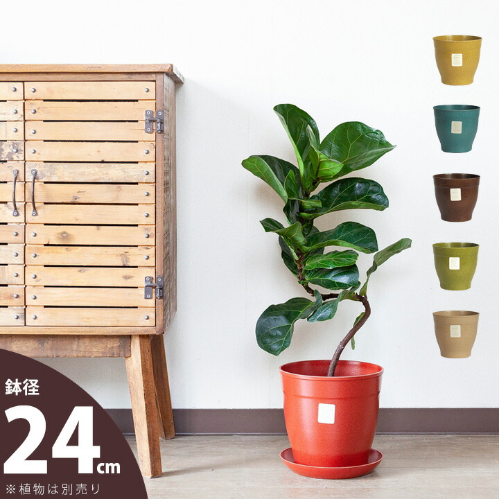 楽天市場 アメリカ生まれの植木鉢 エコフォームズ 24cm ｅ 花屋さん