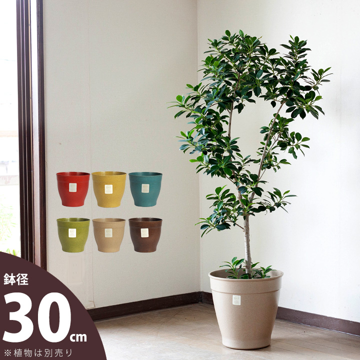 楽天市場 アメリカ生まれの植木鉢 エコフォームズ 30cm 植木鉢 大型 室内 おしゃれ ｅ 花屋さん