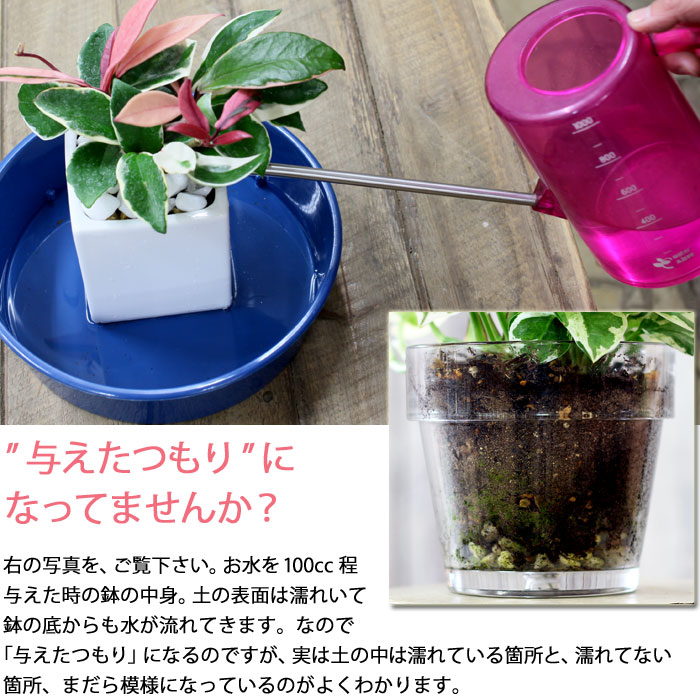 楽天市場 実はこれ あると非常に便利です 道具が揃うと 植物も長持ちです お水の時や 植物 を移動する際 あると何かと便利 撥水性がよい 受け皿2枚セット ｅ 花屋さん