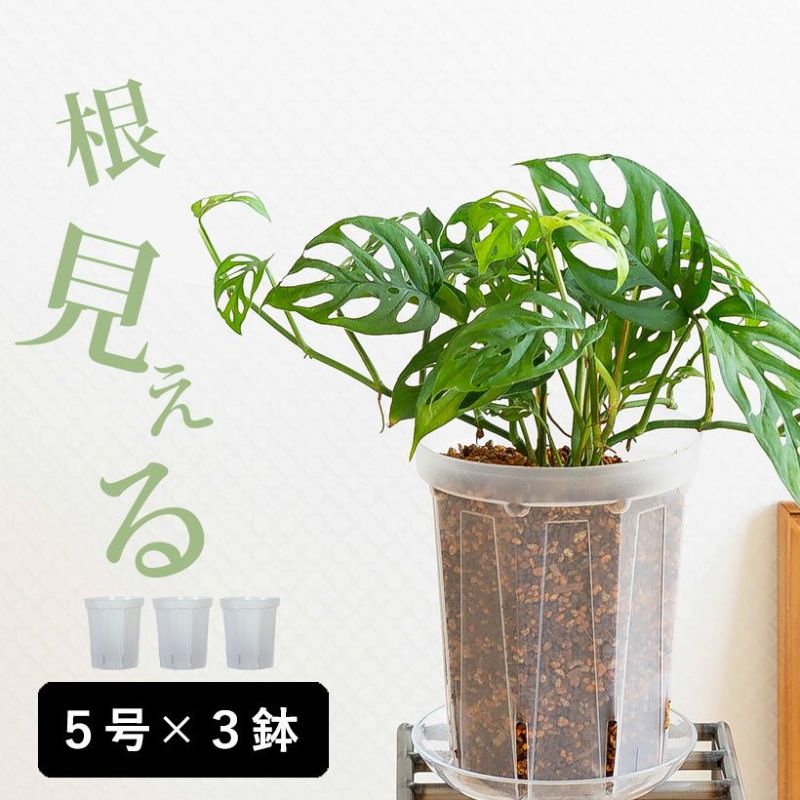 楽天市場】観葉植物の土【虫がわかない無機質配合】店長おすすめ 楽天市場】観葉植物の土【虫がわかない無機質配合】店長おすすめ